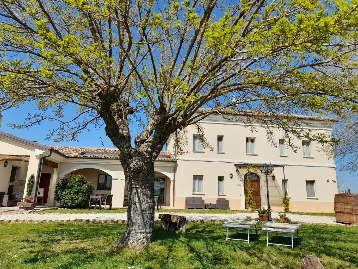 Villa Marietta Country House - Marche 蒙特玛佐里奥梅特 外观 照片