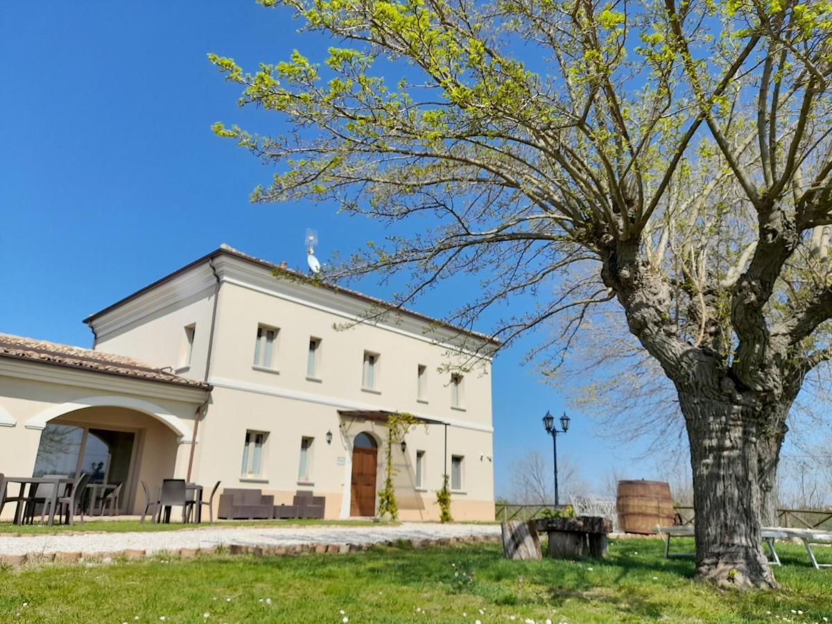 Villa Marietta Country House - Marche 蒙特玛佐里奥梅特 外观 照片