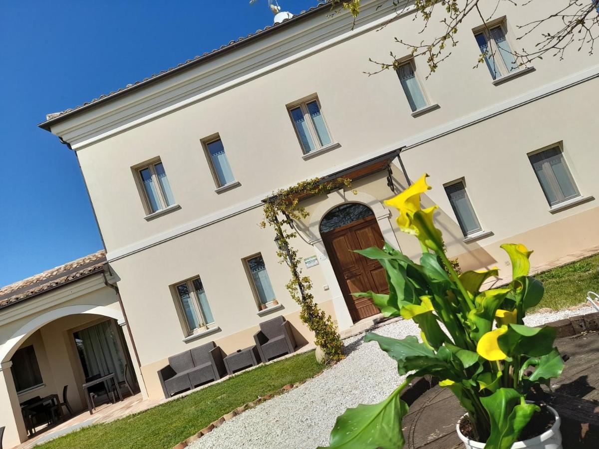Villa Marietta Country House - Marche 蒙特玛佐里奥梅特 外观 照片