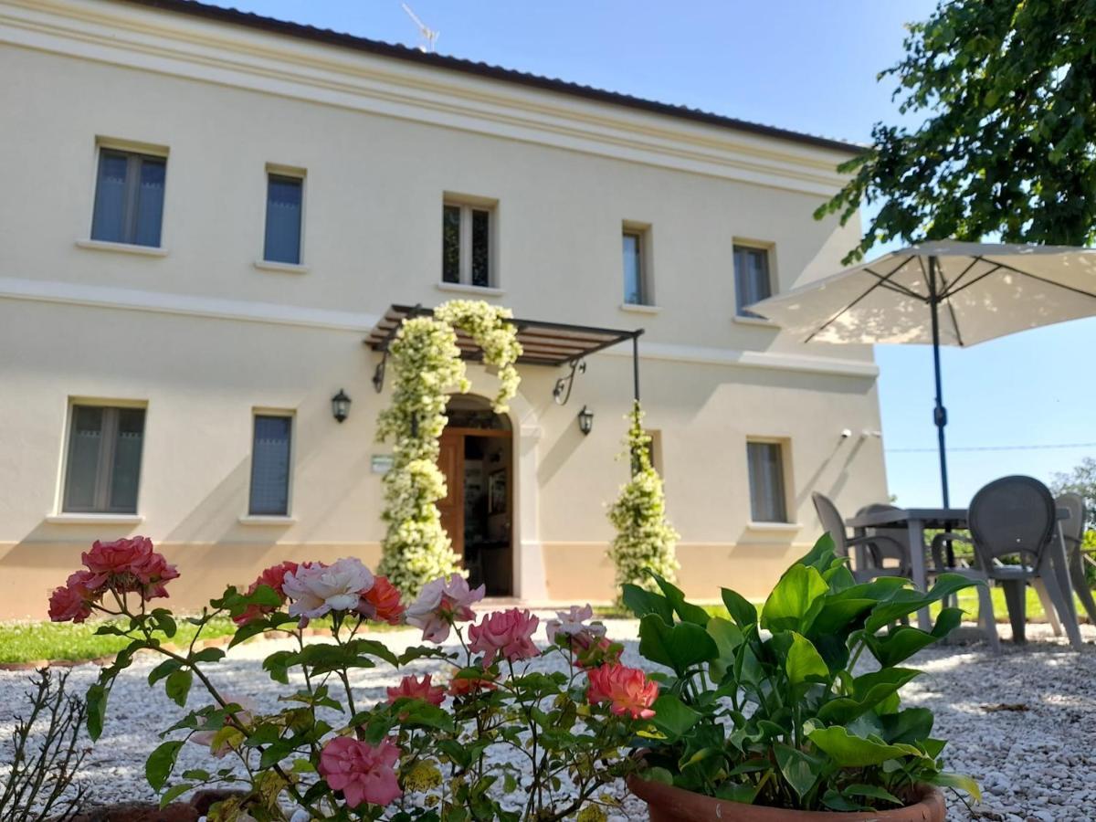 Villa Marietta Country House - Marche 蒙特玛佐里奥梅特 外观 照片
